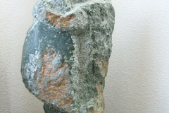 Thuiskomst